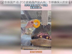 人C交ZOZ农场国产 在 ZOZ 农场国产交人中，怎样确保人的安全和隐私？