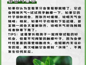 含羞草传媒一区二区三;含羞草传媒一区二区三是否存在低俗内容？