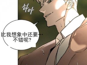 代号Anastasia：穿越文字迷雾的翻译小说之旅