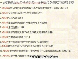 灵魂撕裂礼包领取攻略：详解激活码获取与使用步骤