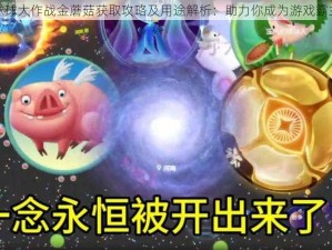 球球大作战金蘑菇获取攻略及用途解析：助力你成为游戏霸主