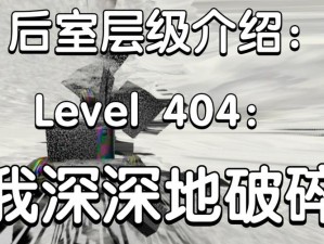 深秘探秘：解析后室电梯密码共享实用视频攻略解析