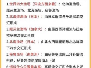 探索海洋秘境：企鹅大陆上渔力提升策略与技巧