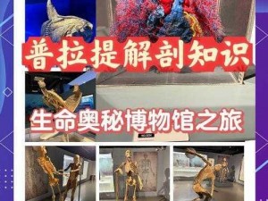 四叶草研究所人类实验室_四叶草研究所人类实验室：探寻生命的奥秘