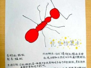 你想知道的关于昆虫学者：幕后研究、探险与揭秘昆虫世界的传奇故事