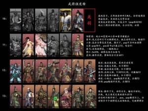 极无双2武将搭配详解：实战策略与最佳组合探索