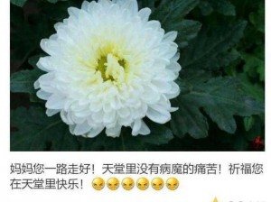 母亲中了阴阳和合散、母亲中了阴阳和合散，我该怎么办？