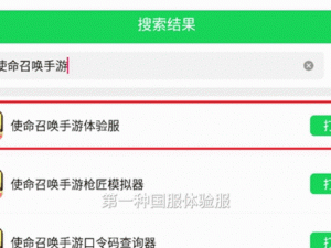 CODm国际体验服下载指南：如何获取最佳游戏体验的详细教程