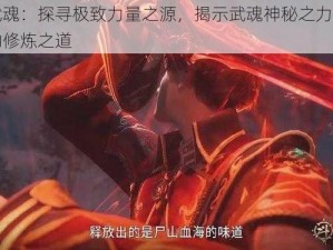 完美武魂：探寻极致力量之源，揭示武魂神秘之力引领新时代的修炼之道