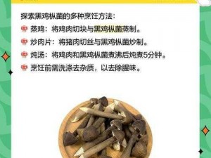 蘑菇黑料爆料—蘑菇黑料爆料：震惊蘑菇的这些秘密你绝对想不到