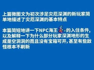 泰拉瑞亚灾厄攻略详解：游戏玩法与操作指南