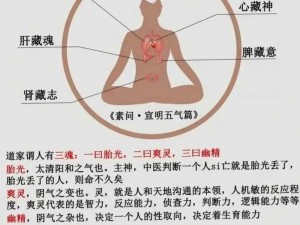 三魂七魄归位口诀：揭秘神秘力量，探寻生命本源，唤醒内在能量