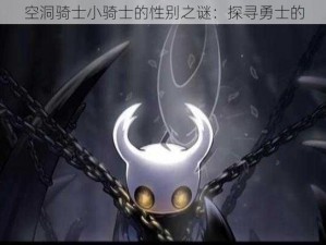 空洞骑士小骑士的性别之谜：探寻勇士的