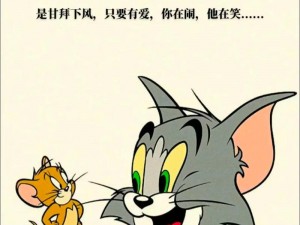 猫和老鼠的日常：揭秘背后的故事，暖心互动的背后竟然是这样？