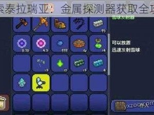 探索泰拉瑞亚：金属探测器获取全攻略