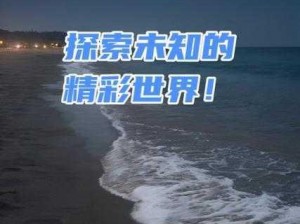 cheng人网站(cheng 人网站的真实面貌：探索未知的世界)