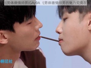 GAy9A刂男体缴情帅男(GAy9A 刂男体缴情帅男的魅力究竟在哪里？)