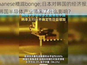 japanese糟蹋bonge;日本对韩国的经济报复，给韩国半导体产业带来了什么影响？