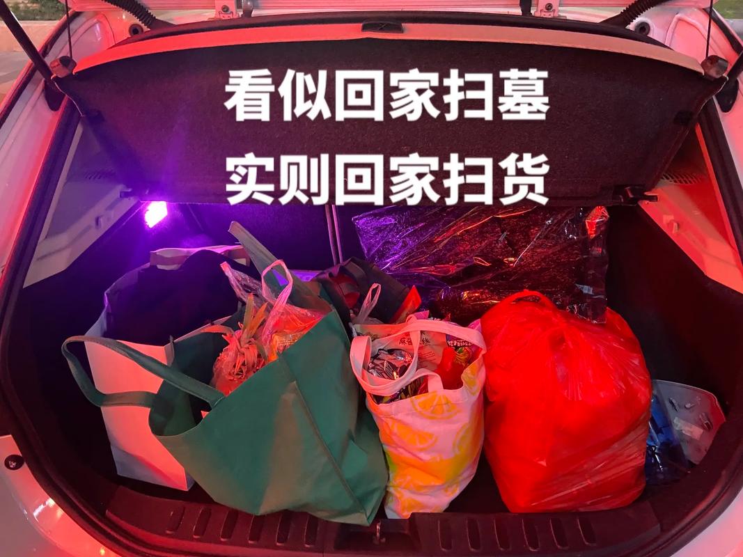 小扫货能么多叫出来公交车：一次特别的出行体验