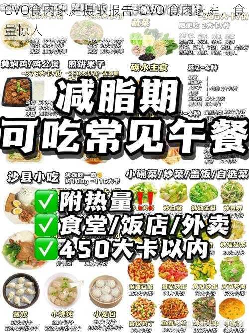 OVO食肉家庭摄取报告-OVO 食肉家庭，食量惊人