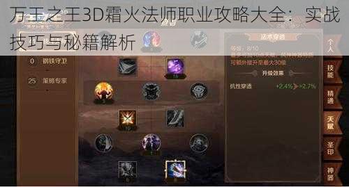 万王之王3D霜火法师职业攻略大全：实战技巧与秘籍解析