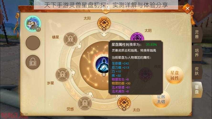 天下手游灵兽星盘初探：实测详解与体验分享