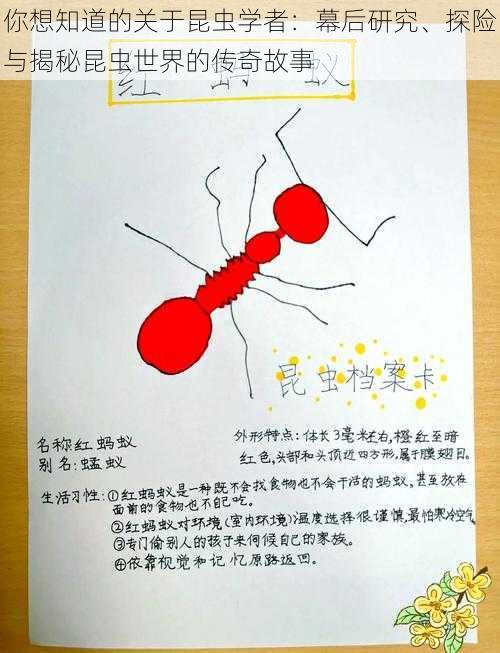 你想知道的关于昆虫学者：幕后研究、探险与揭秘昆虫世界的传奇故事