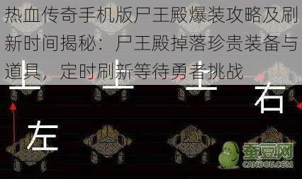 热血传奇手机版尸王殿爆装攻略及刷新时间揭秘：尸王殿掉落珍贵装备与道具，定时刷新等待勇者挑战