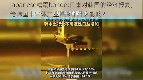 japanese糟蹋bonge;日本对韩国的经济报复，给韩国半导体产业带来了什么影响？