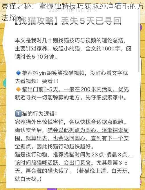 灵猫之秘：掌握独特技巧获取纯净猫毛的方法探索