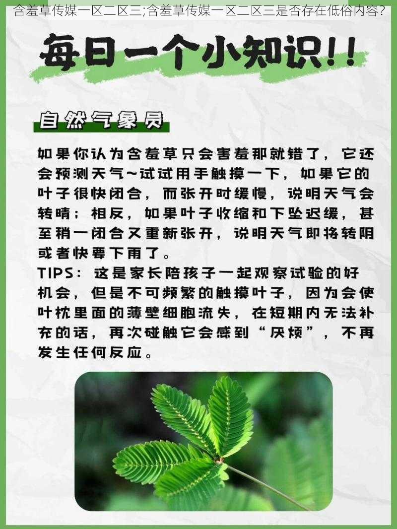 含羞草传媒一区二区三;含羞草传媒一区二区三是否存在低俗内容？