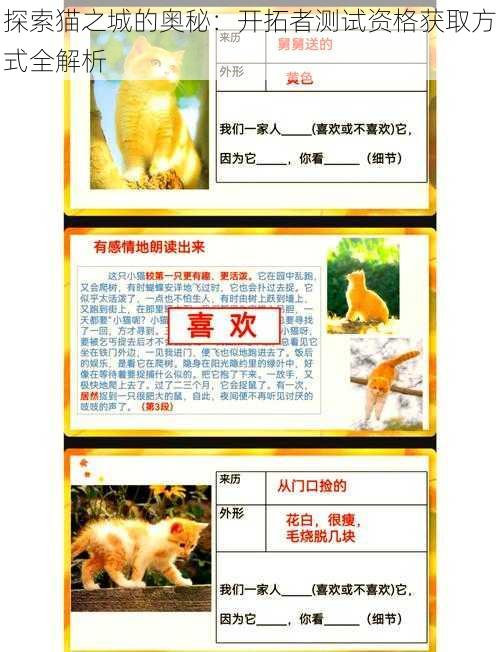 探索猫之城的奥秘：开拓者测试资格获取方式全解析