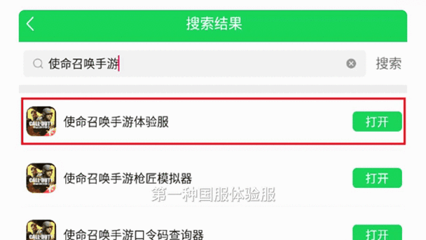 CODm国际体验服下载指南：如何获取最佳游戏体验的详细教程