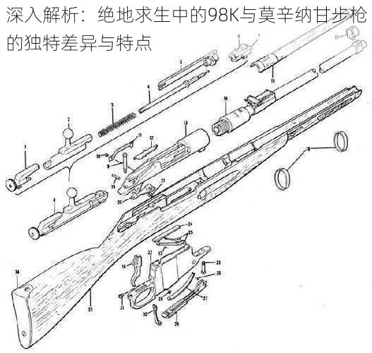 深入解析：绝地求生中的98K与莫辛纳甘步枪的独特差异与特点