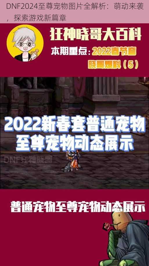 DNF2024至尊宠物图片全解析：萌动来袭，探索游戏新篇章