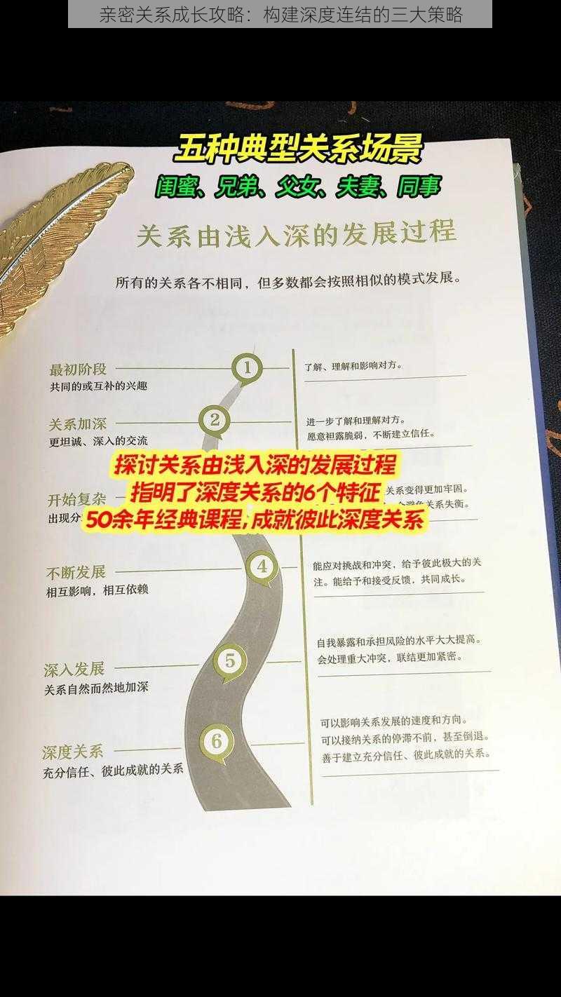 亲密关系成长攻略：构建深度连结的三大策略