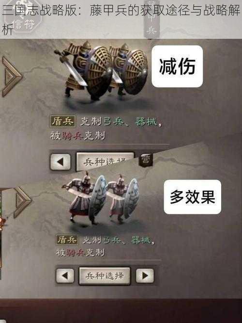 三国志战略版：藤甲兵的获取途径与战略解析