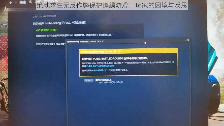 绝地求生无反作弊保护遭踢游戏：玩家的困境与反思