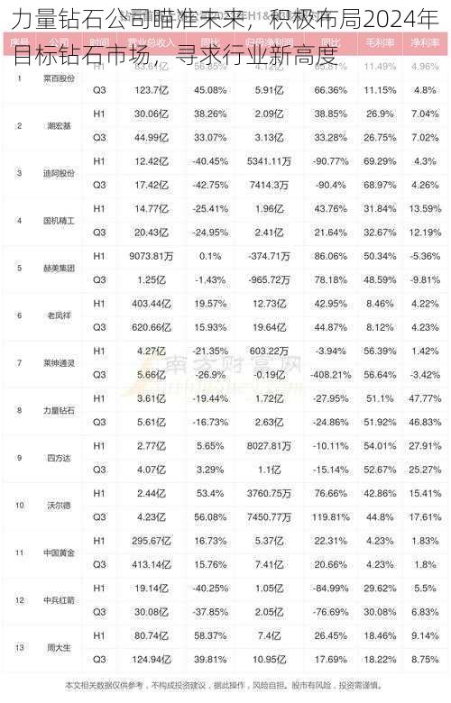 力量钻石公司瞄准未来，积极布局2024年目标钻石市场，寻求行业新高度