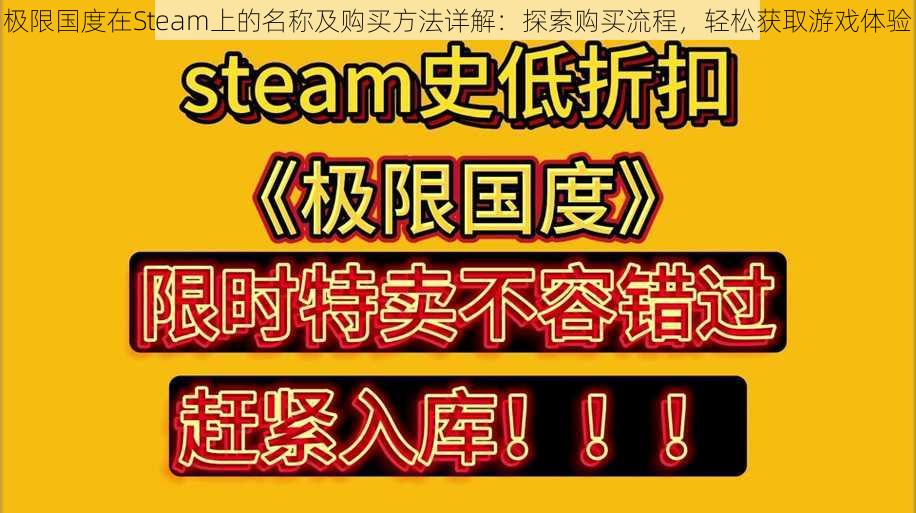 极限国度在Steam上的名称及购买方法详解：探索购买流程，轻松获取游戏体验