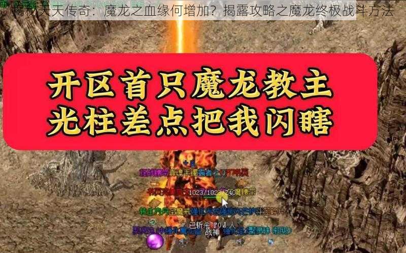 揭秘天天传奇：魔龙之血缘何增加？揭露攻略之魔龙终极战斗方法